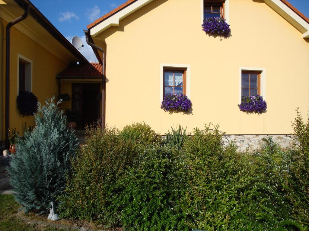 Apartman Augsten Český Krumlov Buitenkant foto